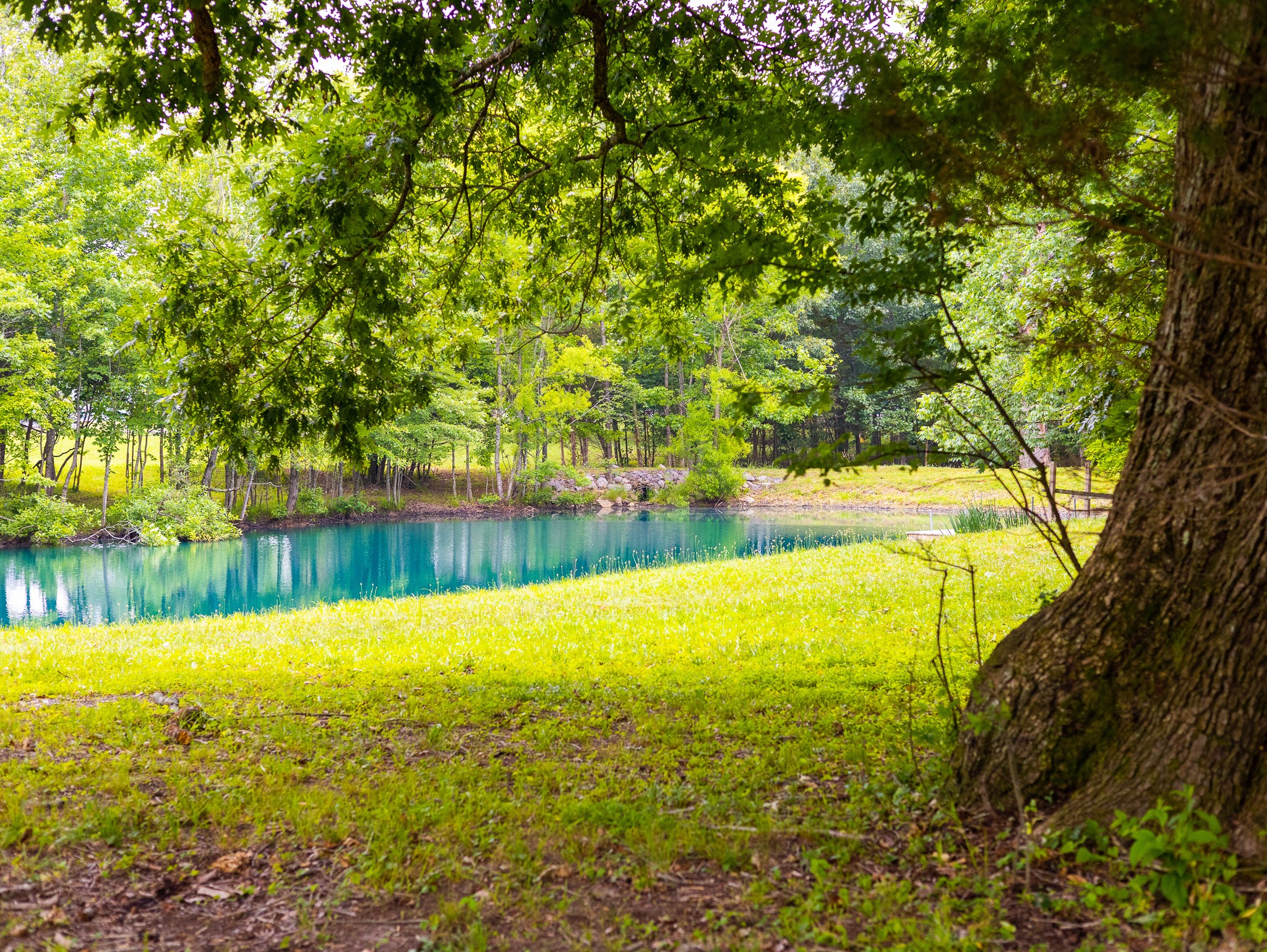 307 Marlin Road White House, TN 37188 - Photo 1 of 21 Gallery Image 1