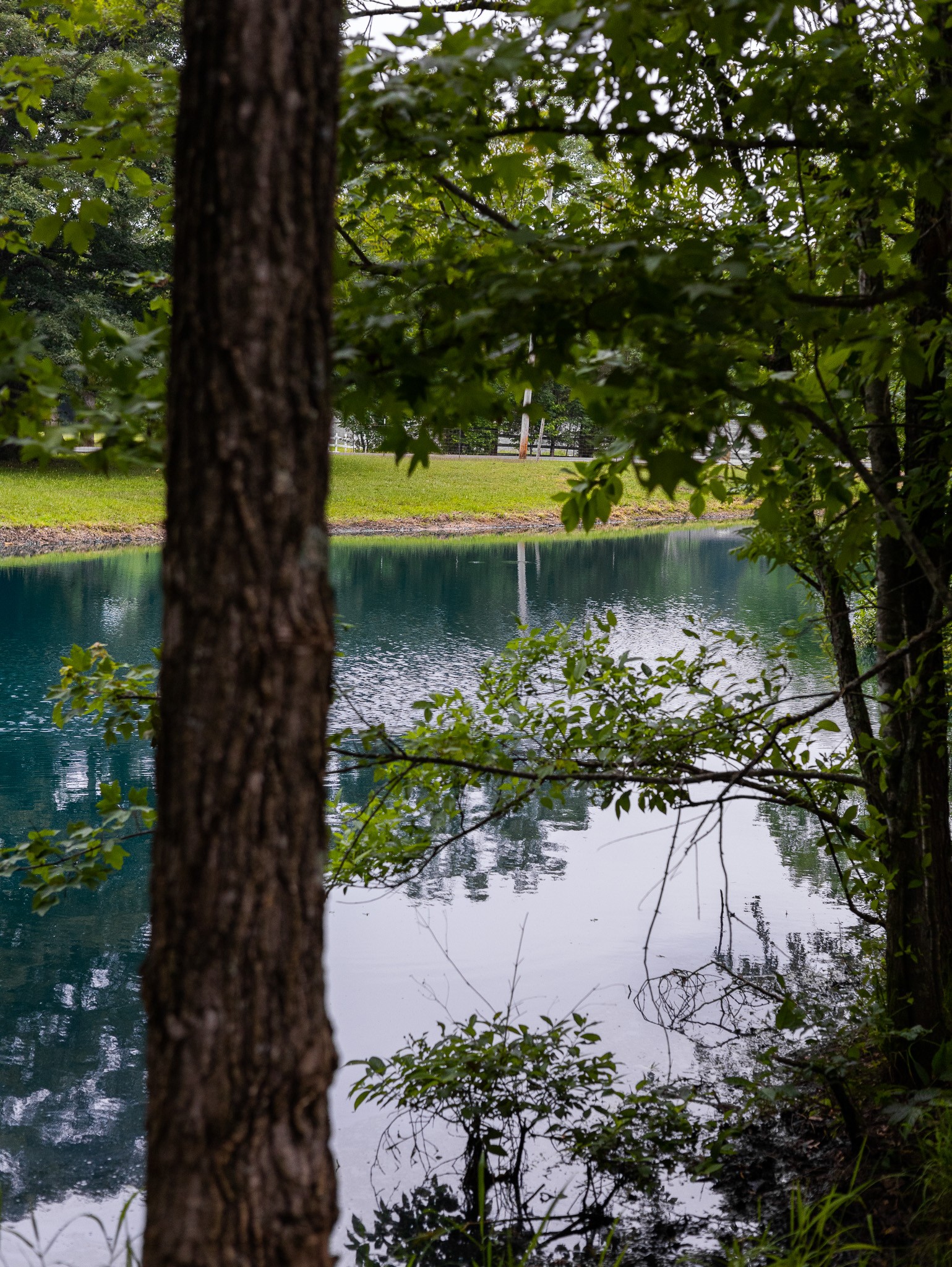 307 Marlin Road White House, TN 37188 - Photo 12 of 21 Gallery Image 12