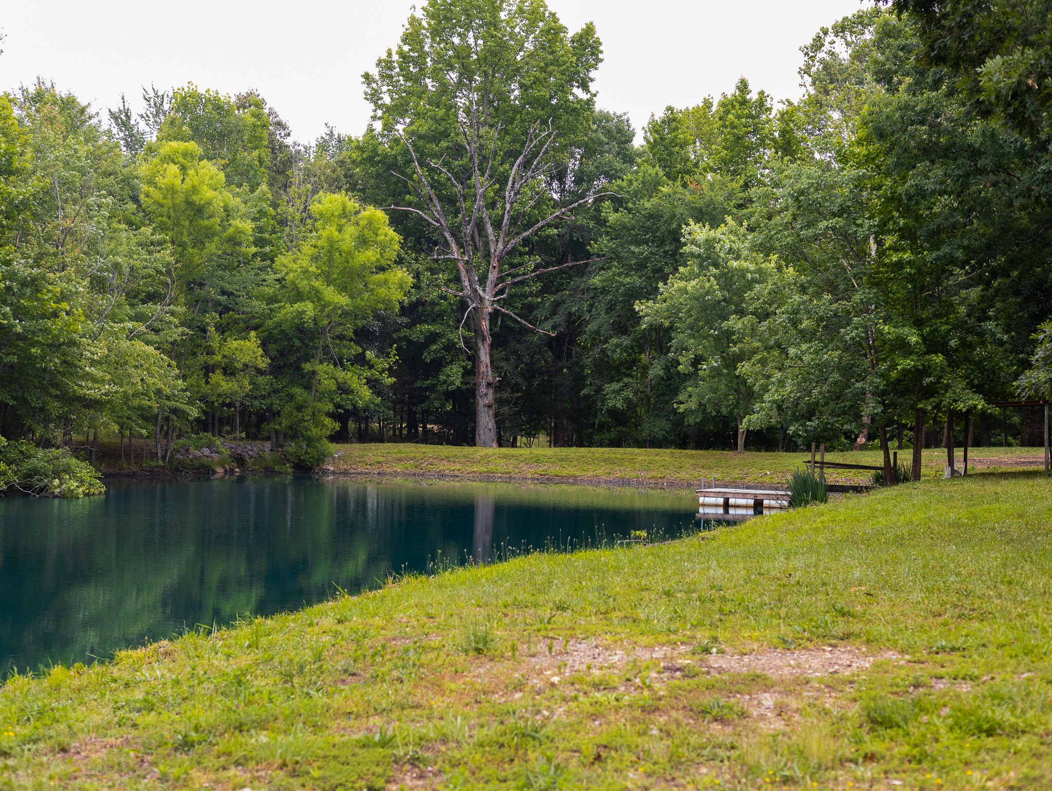 307 Marlin Road White House, TN 37188 - Photo 13 of 21 Gallery Image 13