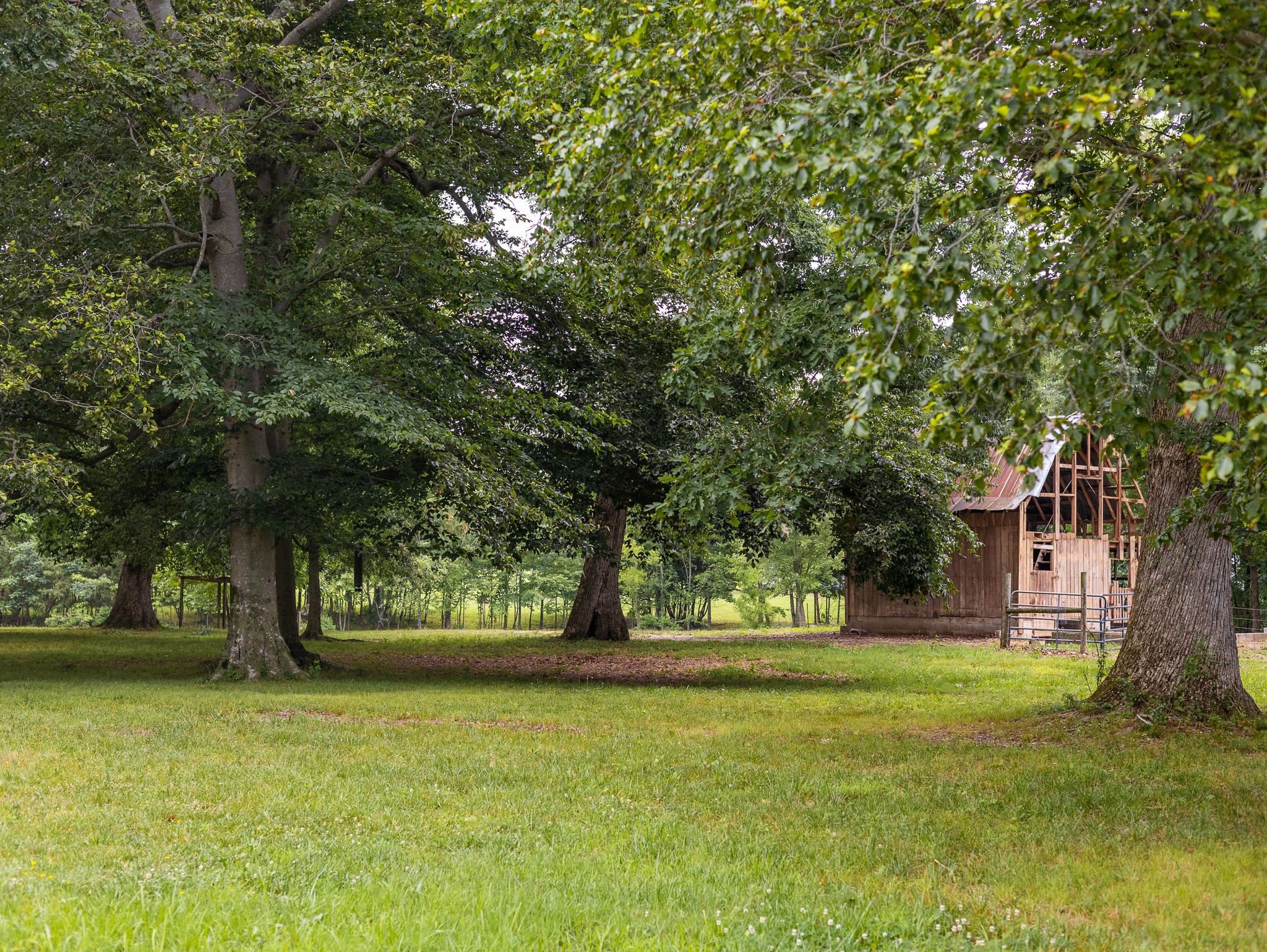 307 Marlin Road White House, TN 37188 - Photo 5 of 21 Gallery Image 5