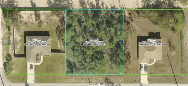 $38,900 | 0 Ruffed Grouse Road, Weeki Wachee, FL 34614