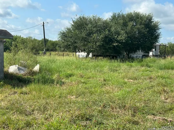 a view of bushes and trees