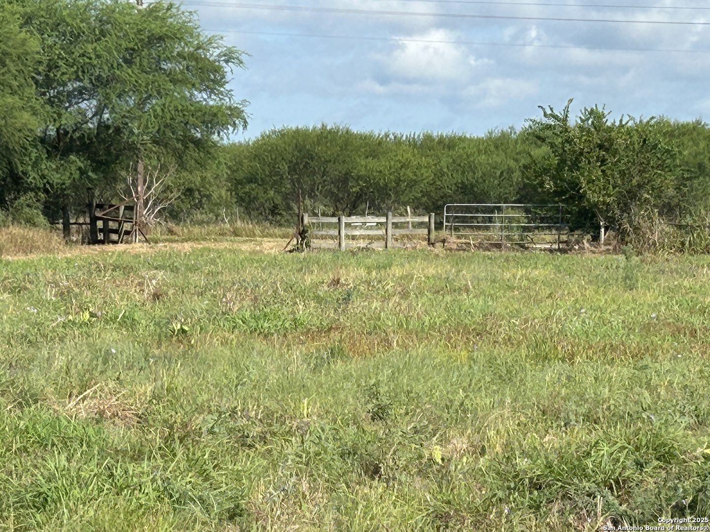 1242 Cologne Road Victoria, TX 77905 - Photo 24 of 29 a backyard of a house with lots of green space