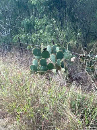 a view of a lake with a bench and trees
