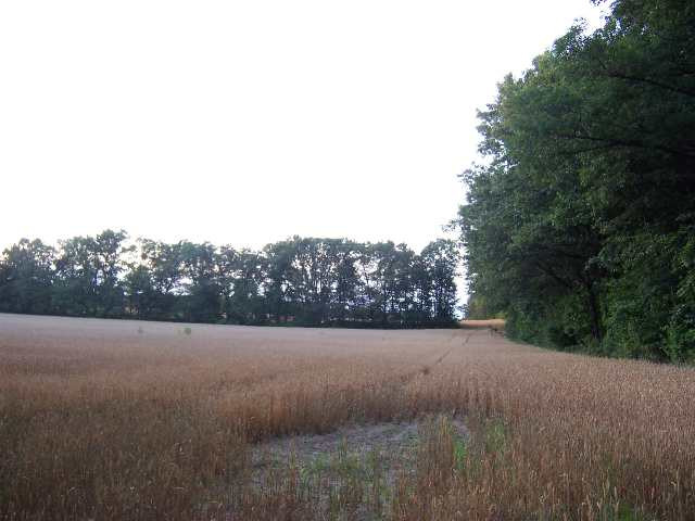 Lot 3 Folks Road Horton, MI 49246 - Photo 1 of 1 Photo 1