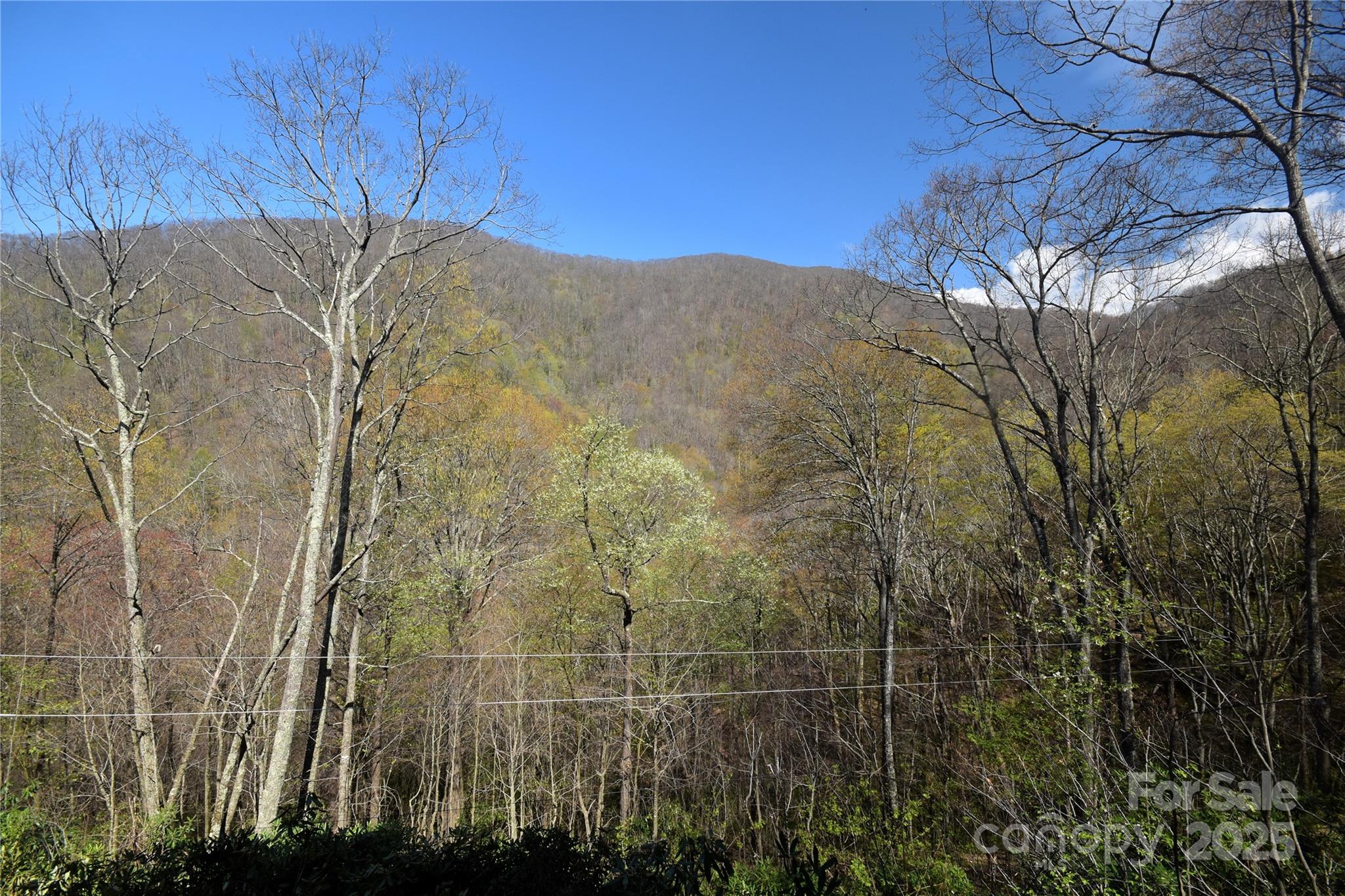 601 Tater Patch Road Maggie Valley, NC 28751 - Photo 33 of 46