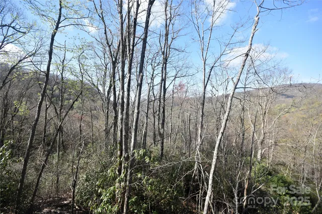 $799,000 | 601 Tater Patch Road, Maggie Valley, NC 28751