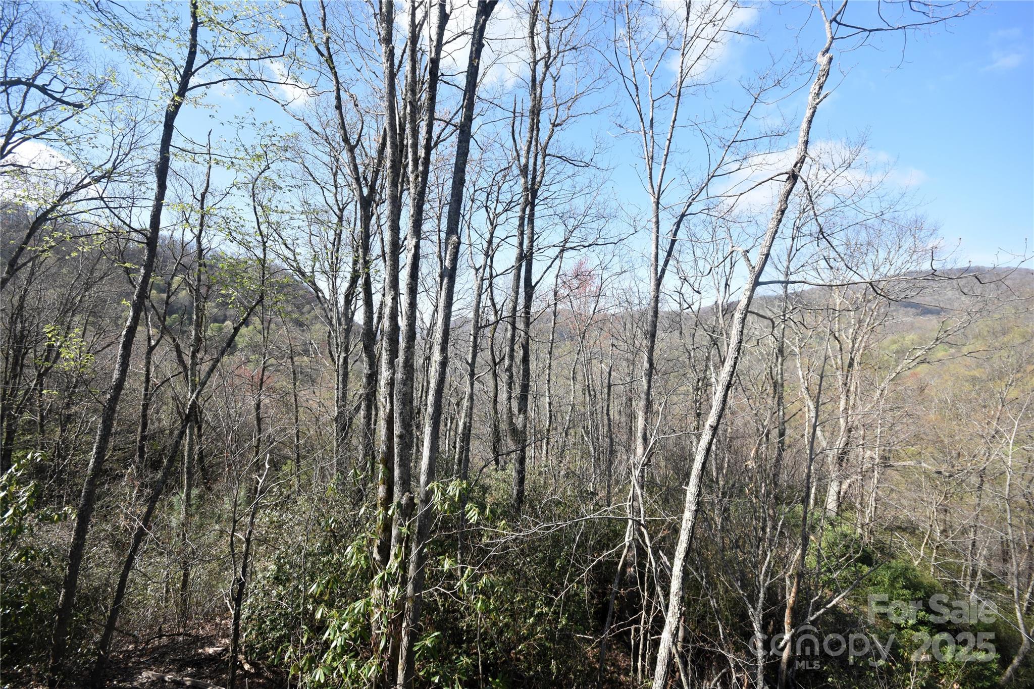 601 Tater Patch Road Maggie Valley, NC 28751 - Photo 35 of 46