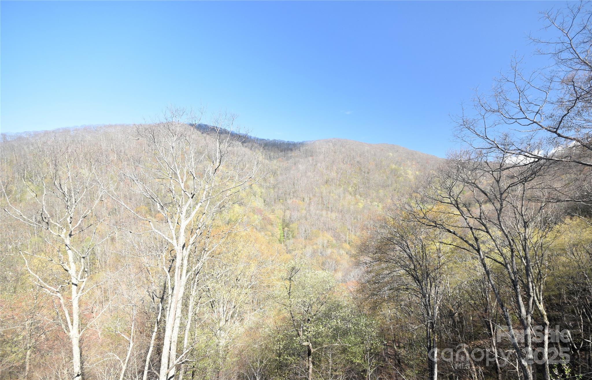 601 Tater Patch Road Maggie Valley, NC 28751 - Photo 40 of 46