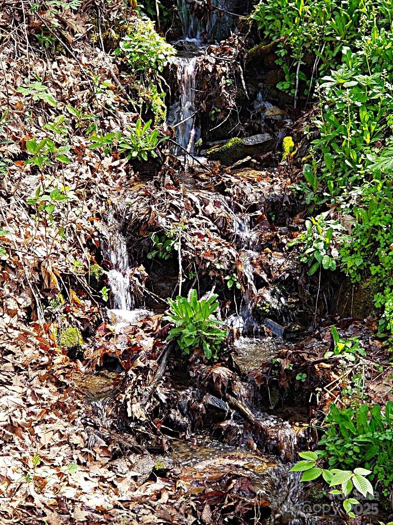 601 Tater Patch Road Maggie Valley, NC 28751 - Photo 44 of 46