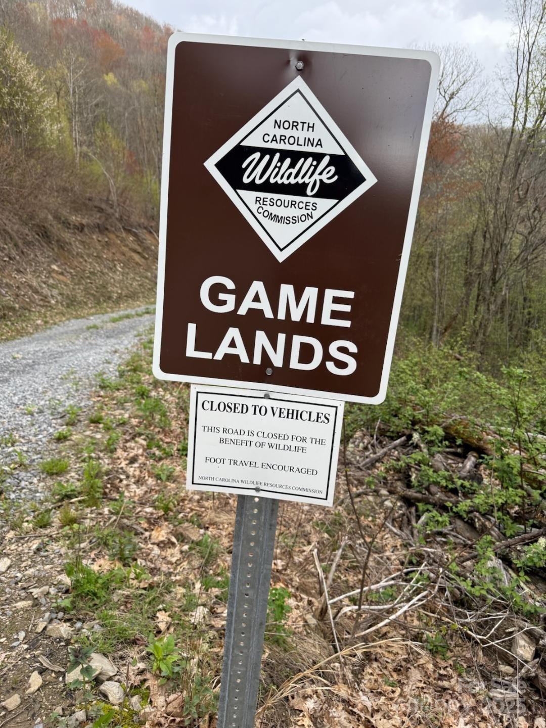 601 Tater Patch Road Maggie Valley, NC 28751 - Photo 46 of 46