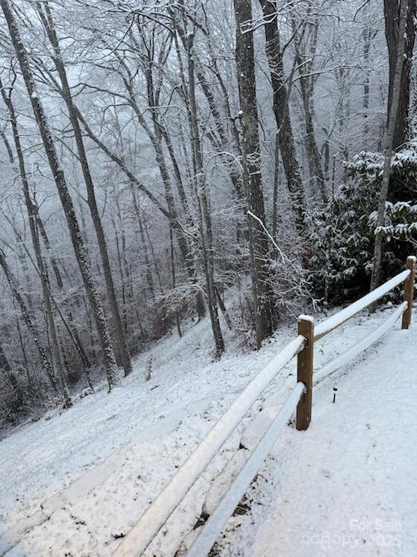 601 Tater Patch Road Maggie Valley, NC 28751 - Photo 5 of 46