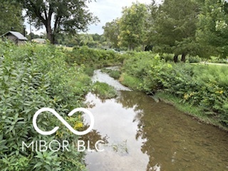 1995 Britton Drive Beech Grove, IN 46107 - Photo 33 of 34