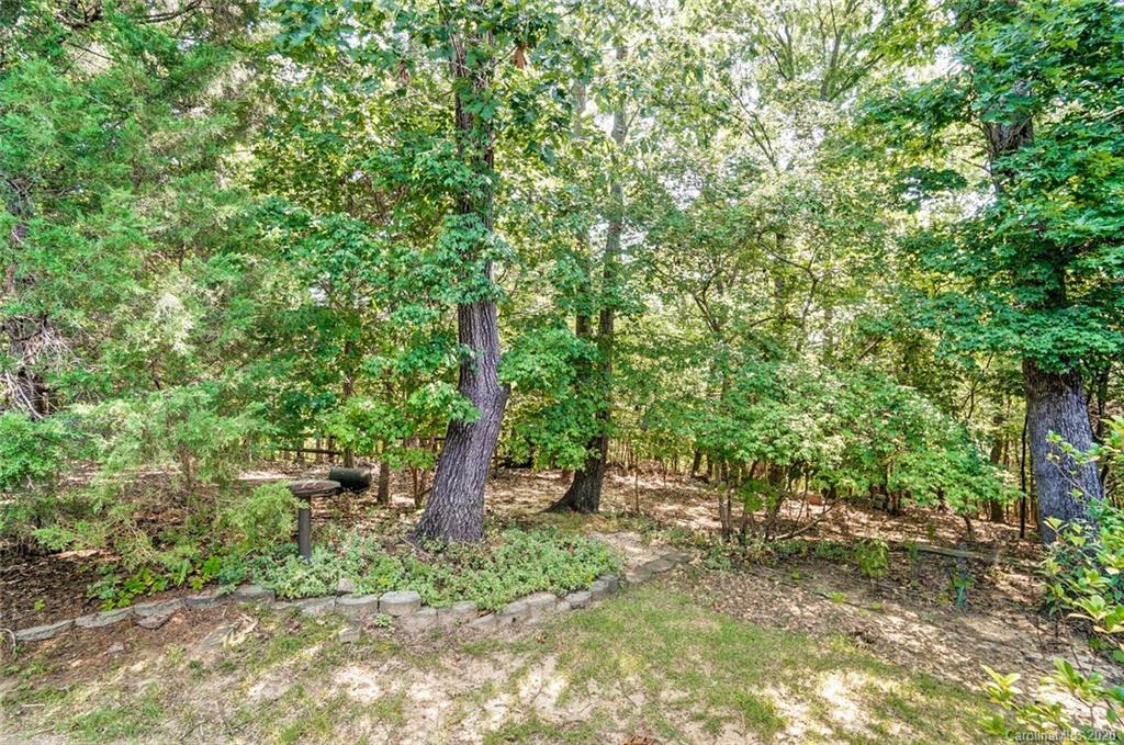 747 Monticello Drive Fort Mill, SC 29708 - Photo 43 of 46 Gallery Image 43