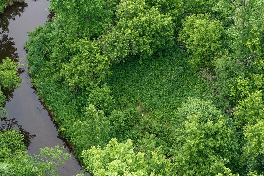 Tbd Mitchell Road Nisswa, MN 56468 - Photo 2 of 22