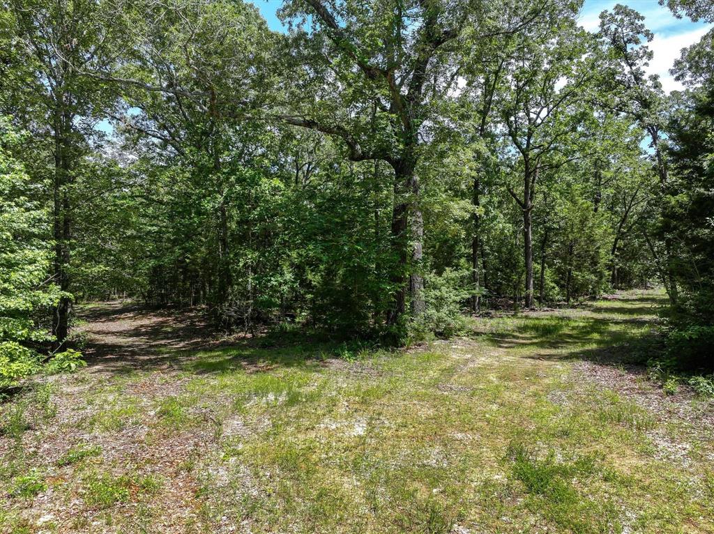 8079 Rd Ben Wheeler Tx 75754 Road Ben Wheeler, TX 75754 - Photo 18 of 37 a view of outdoor space and yard