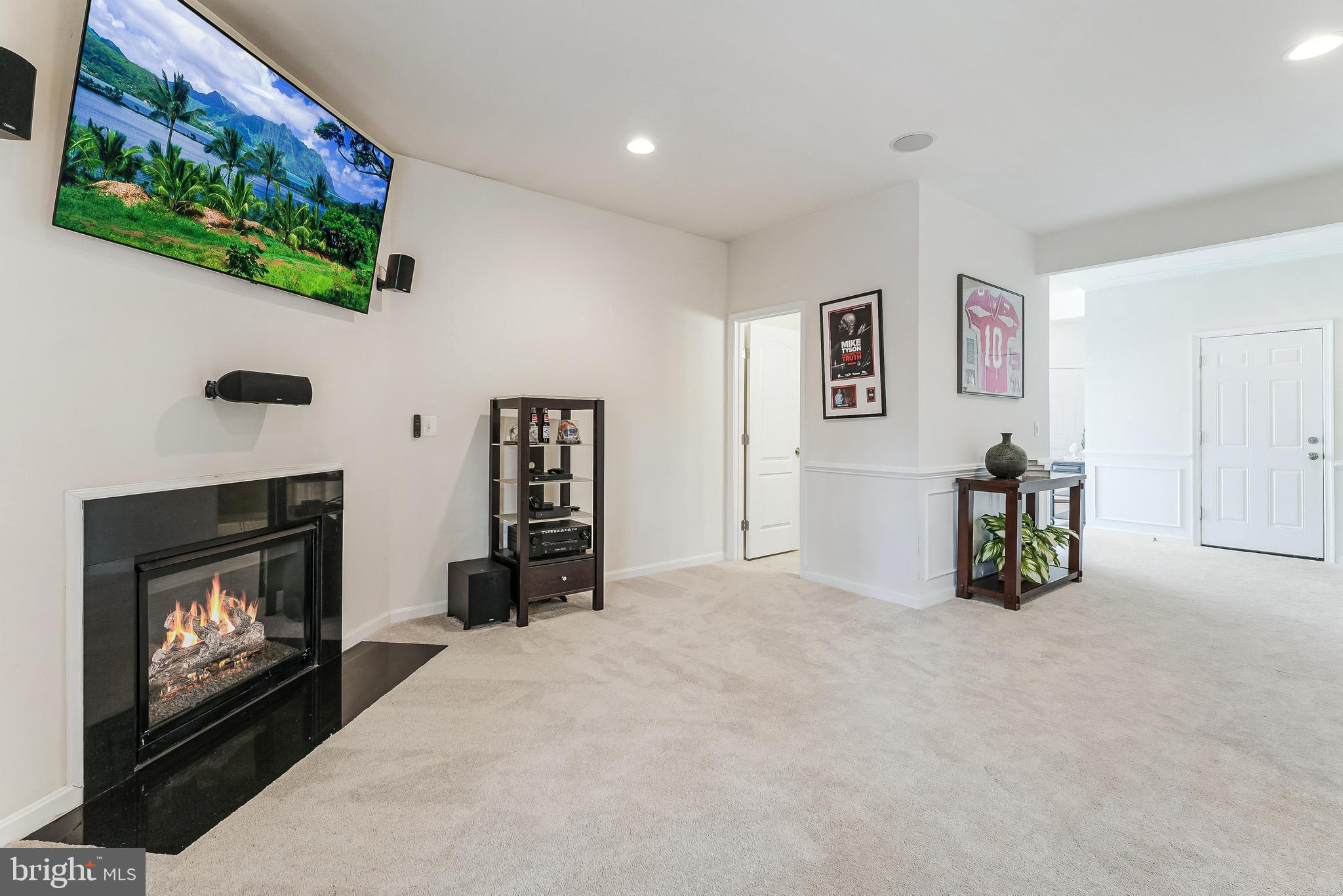 42467 Patrick Wayne Square Ashburn, VA 20148 - Photo 38 of 60 a view of livingroom with furniture and a fireplace