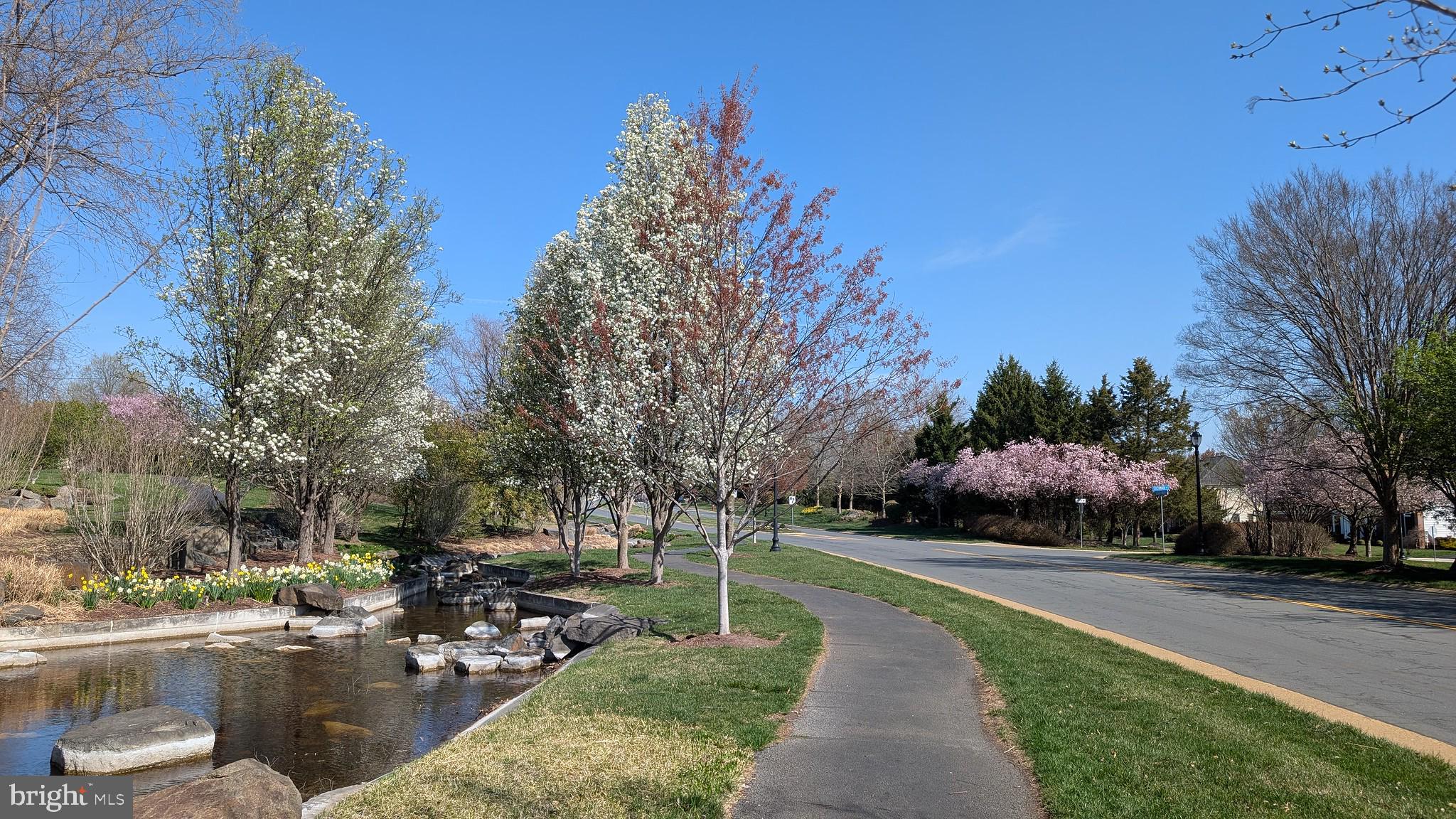 42467 Patrick Wayne Square Ashburn, VA 20148 - Photo 53 of 60 a view of a park with large trees