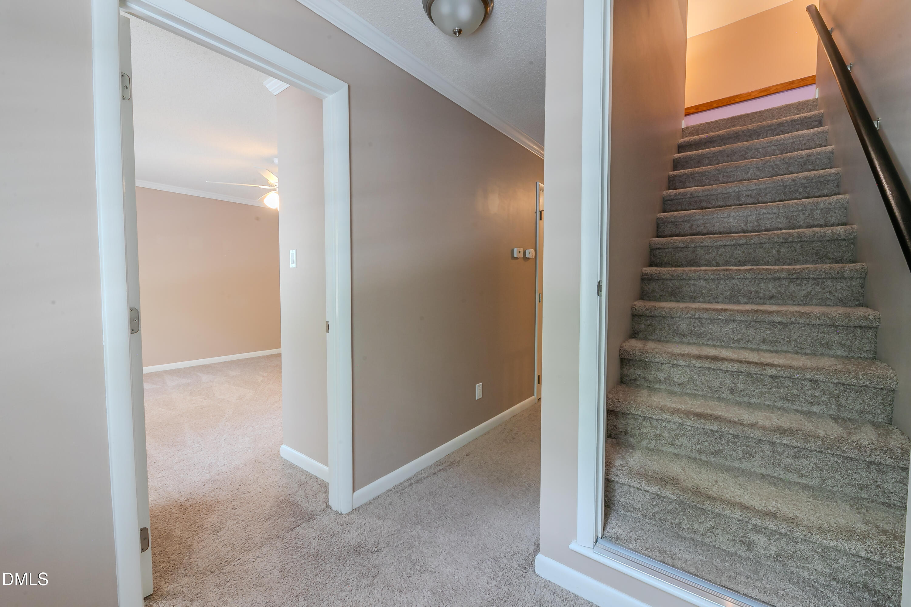 8200 Mourning Dove Road Raleigh, NC 27615 - Photo 21 of 38 2E6A5319