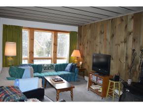 4 H Lower Highlands Road, Unit 4H West Dover, VT 05356 - Photo 2 of 15 Gallery Image 2