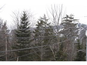 4 H Lower Highlands Road, Unit 4H West Dover, VT 05356 - Photo 7 of 15 Gallery Image 7