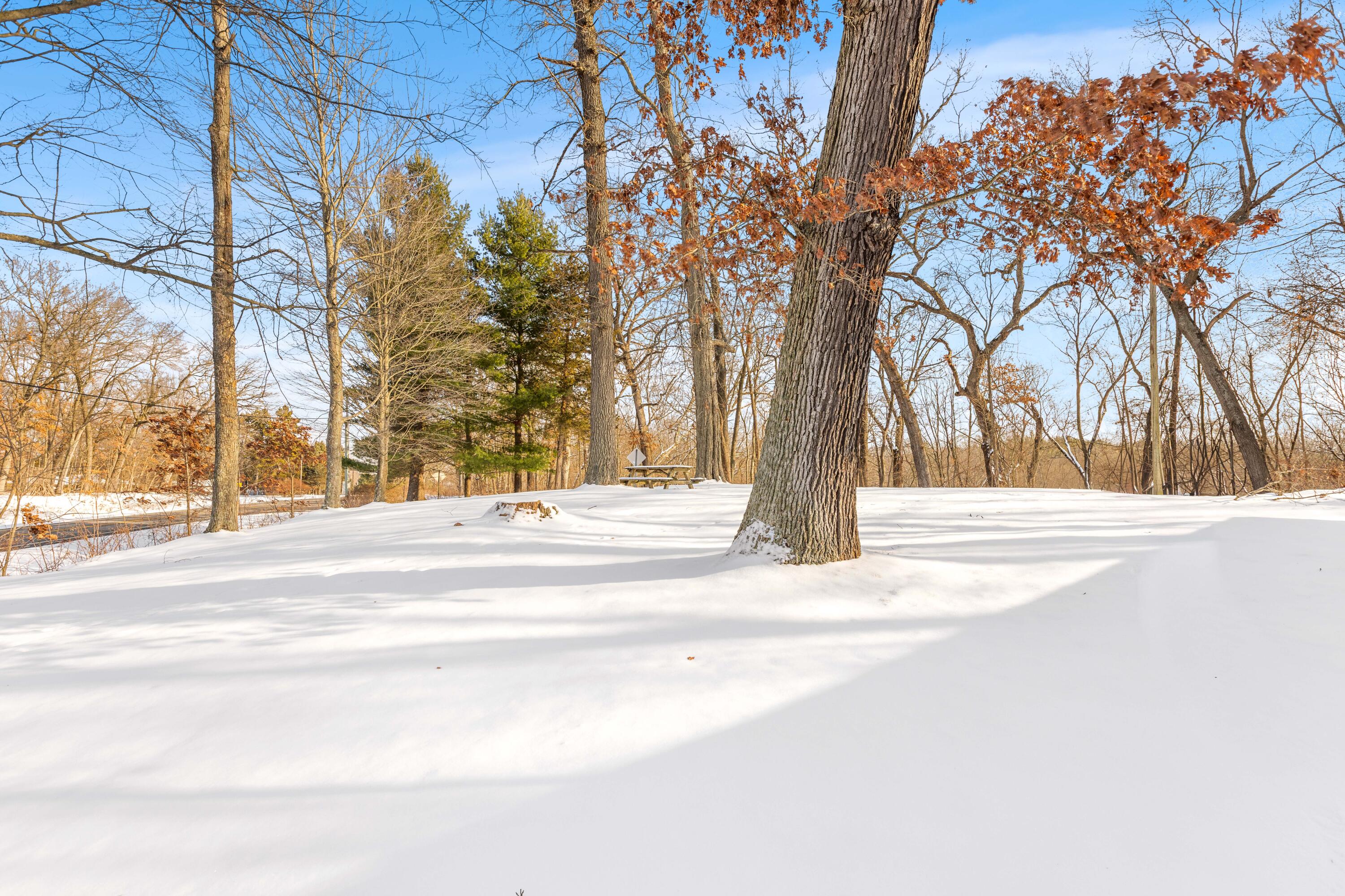 22975 Pine Lake Road Battle Creek, MI 49014 - Photo 26 of 43 _P7A1982_E