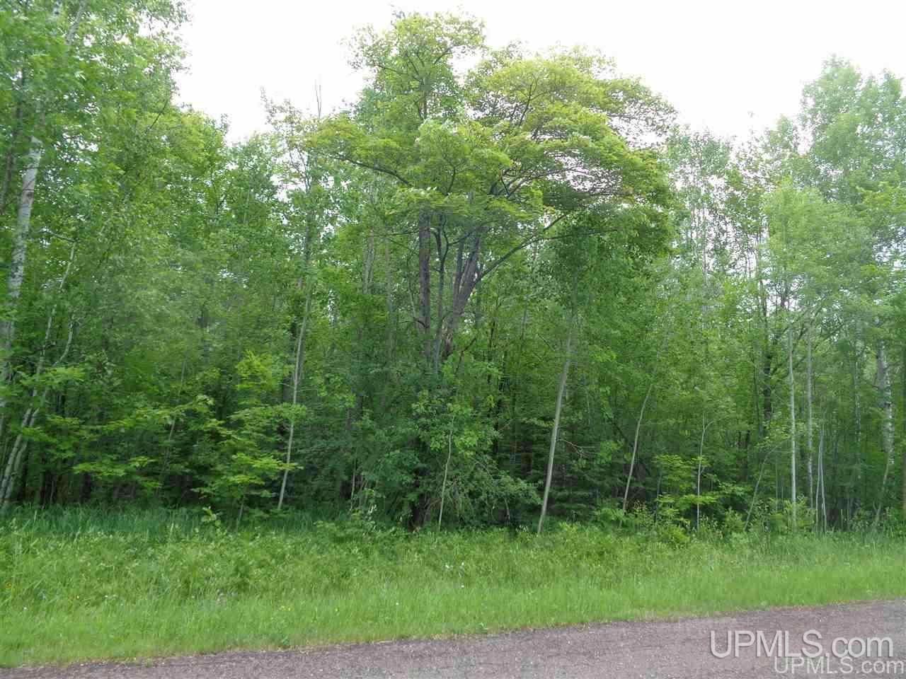 Tbd 1 Quarterline Road Ontonagon, MI 49953 - Photo 1 of 1