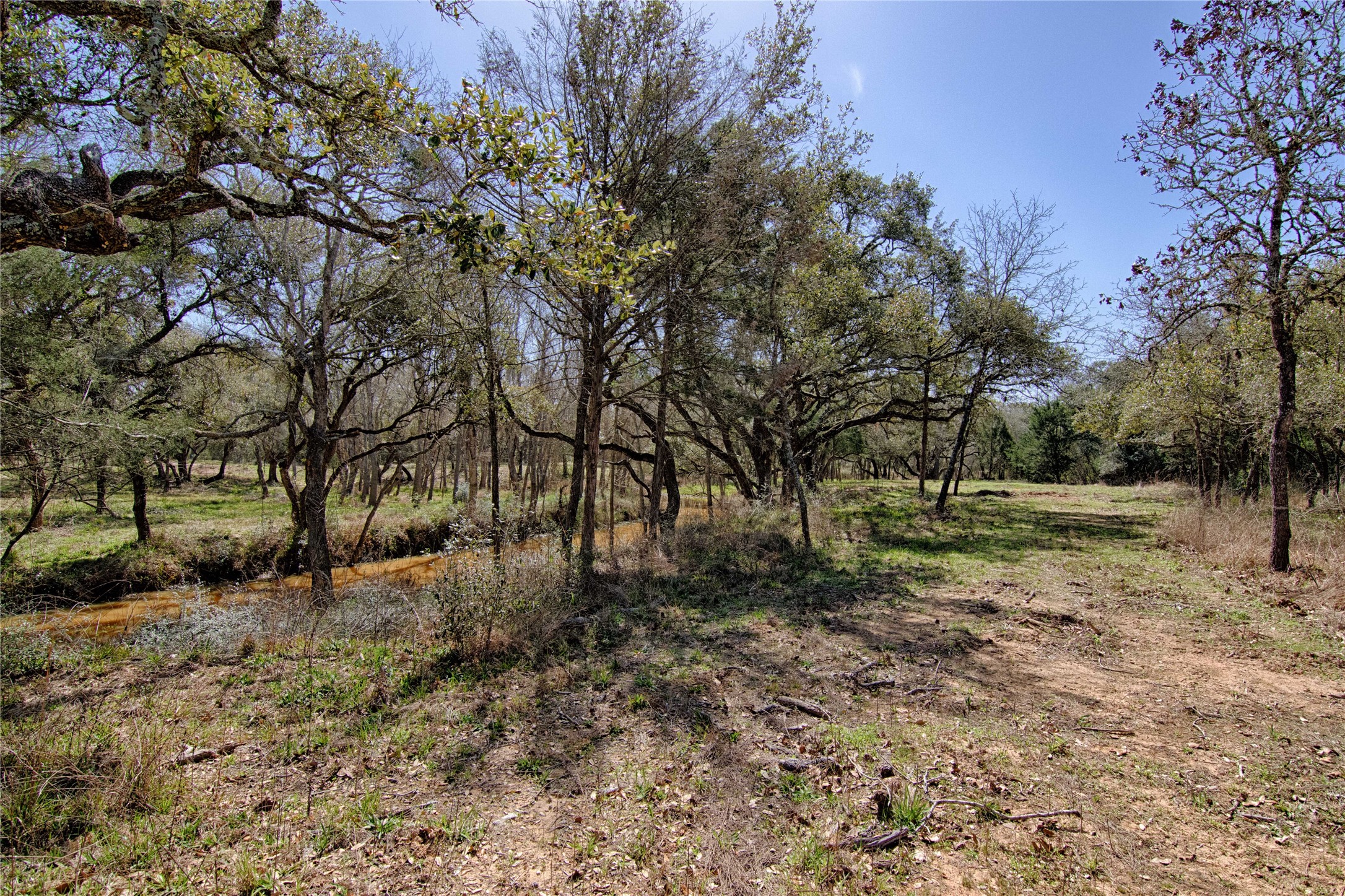 Tbd Tbd Wigeon Lane Columbus, TX 78934 - Photo 3 of 13 a view of backyard with green space