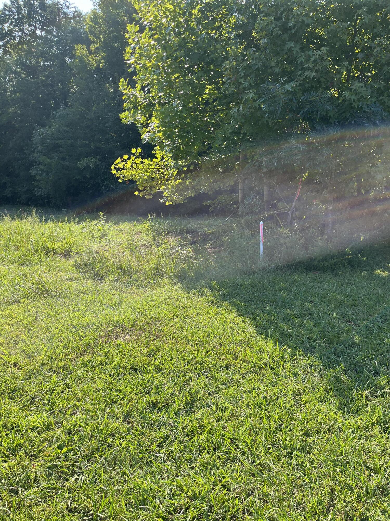 888 Buc Road Williamsburg, KY 40769 - Photo 3 of 3 IMG_1531