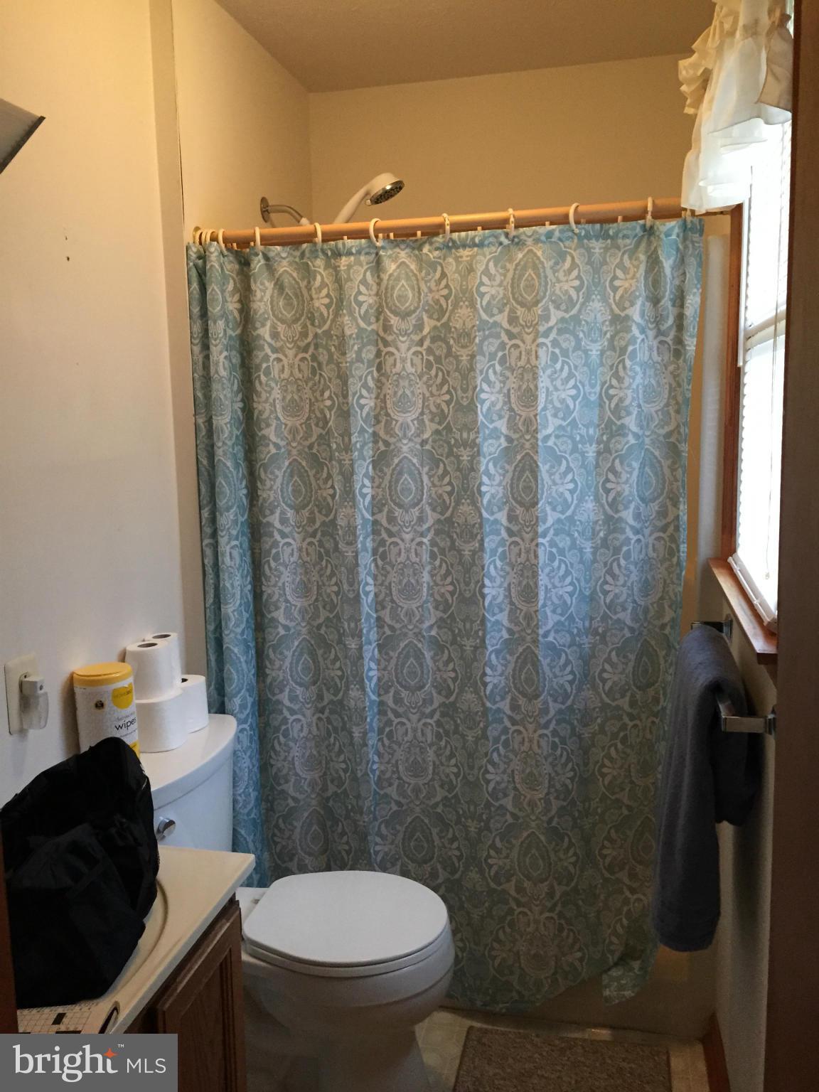 381 Creek Road Front Royal, VA 22630 - Photo 20 of 30 Bath (Master)