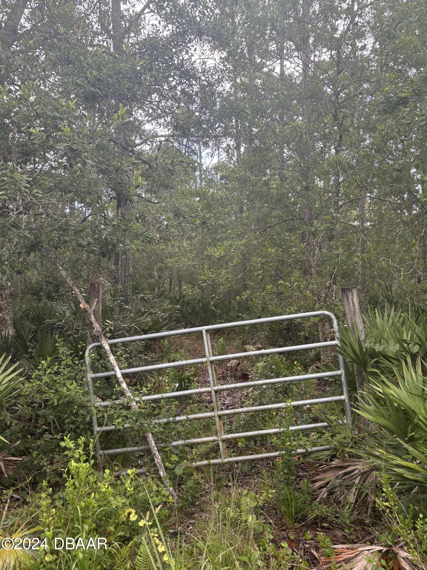 2479 Old Train Road Deltona, FL 32738 - Photo 3 of 5 IMG_4627