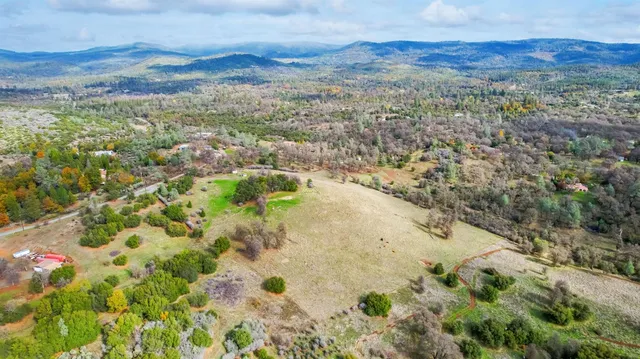 a view of a forest with a mountain
