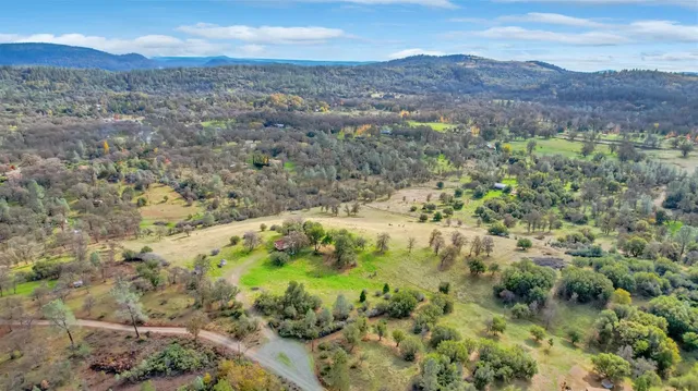 a view of a yard with plants