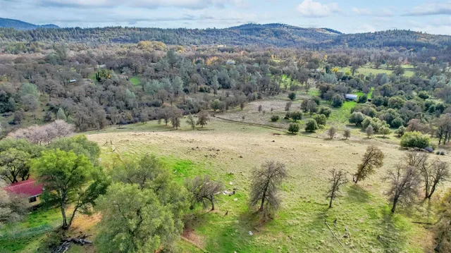 a view of a yard with trees