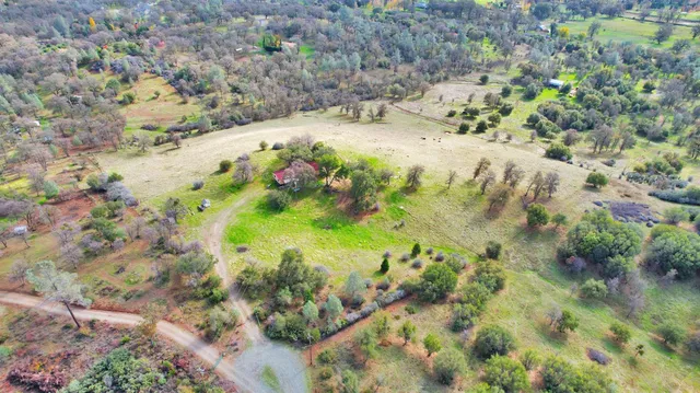 a view of a yard with a tree