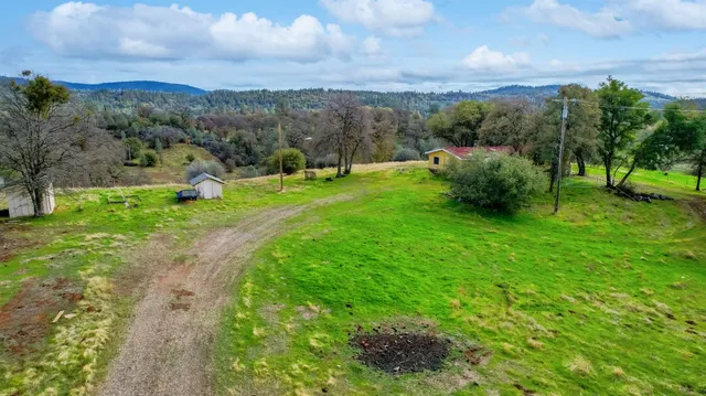 a view of a garden with a fountain