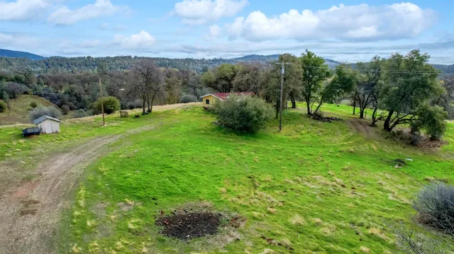 a view of a garden with an tree