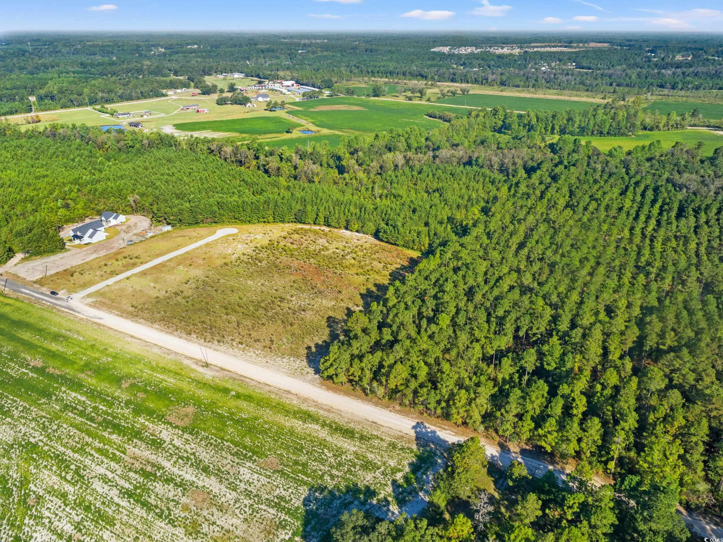 Tbd Tansy Road Loris, SC 29569 - Photo 2 of 9 Aerial overview of property's location featuring a forest
