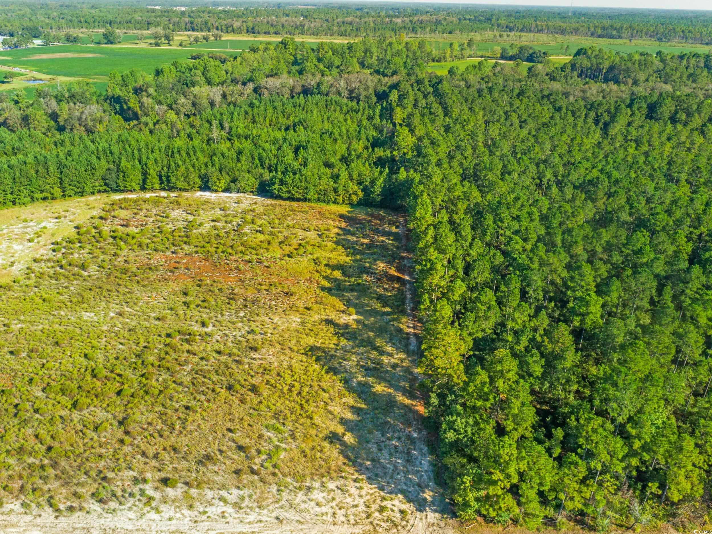 Tbd Tansy Road Loris, SC 29569 - Photo 3 of 9 Drone / aerial view