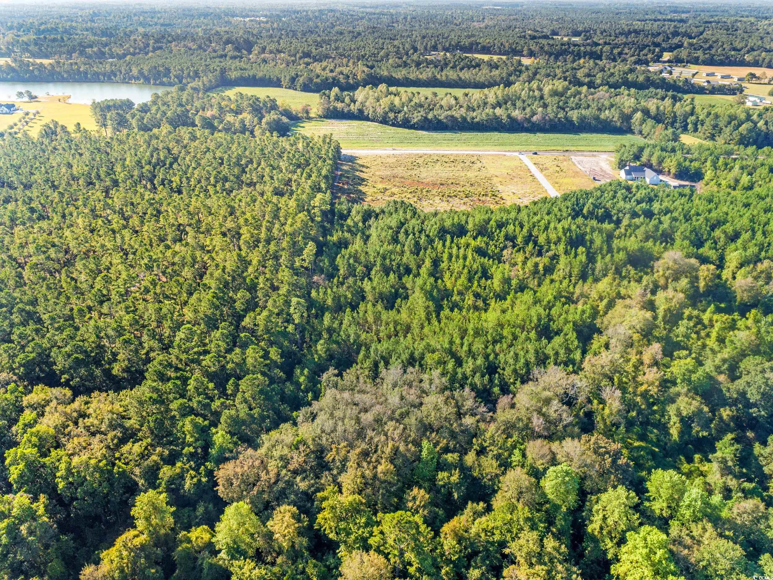 Tbd Tansy Road Loris, SC 29569 - Photo 5 of 9 Aerial view of property's location with a heavily wooded area and a nearby body of water
