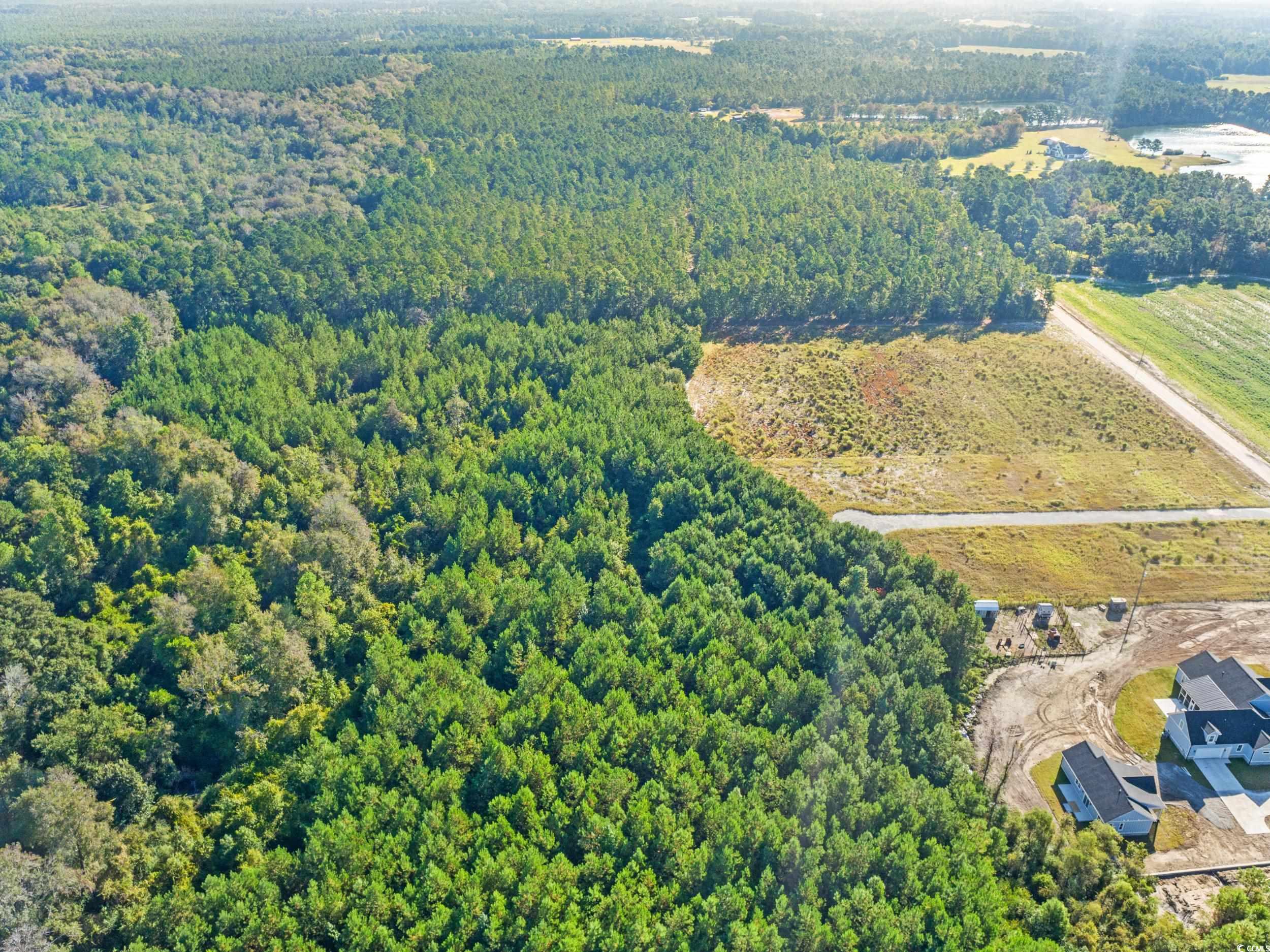 Tbd Tansy Road Loris, SC 29569 - Photo 6 of 9 Bird's eye view