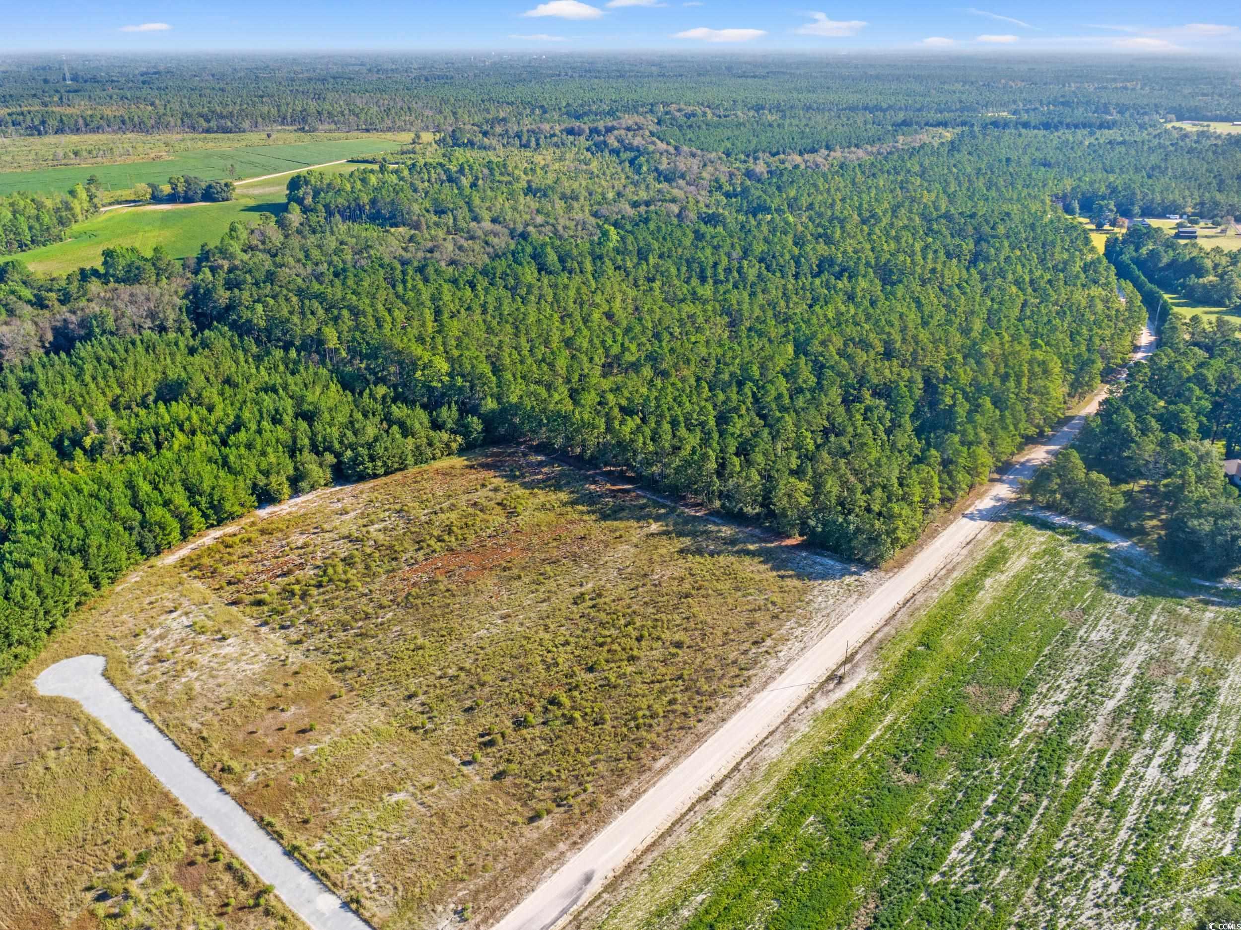 Tbd Tansy Road Loris, SC 29569 - Photo 7 of 9 Aerial view of property's location featuring a forest
