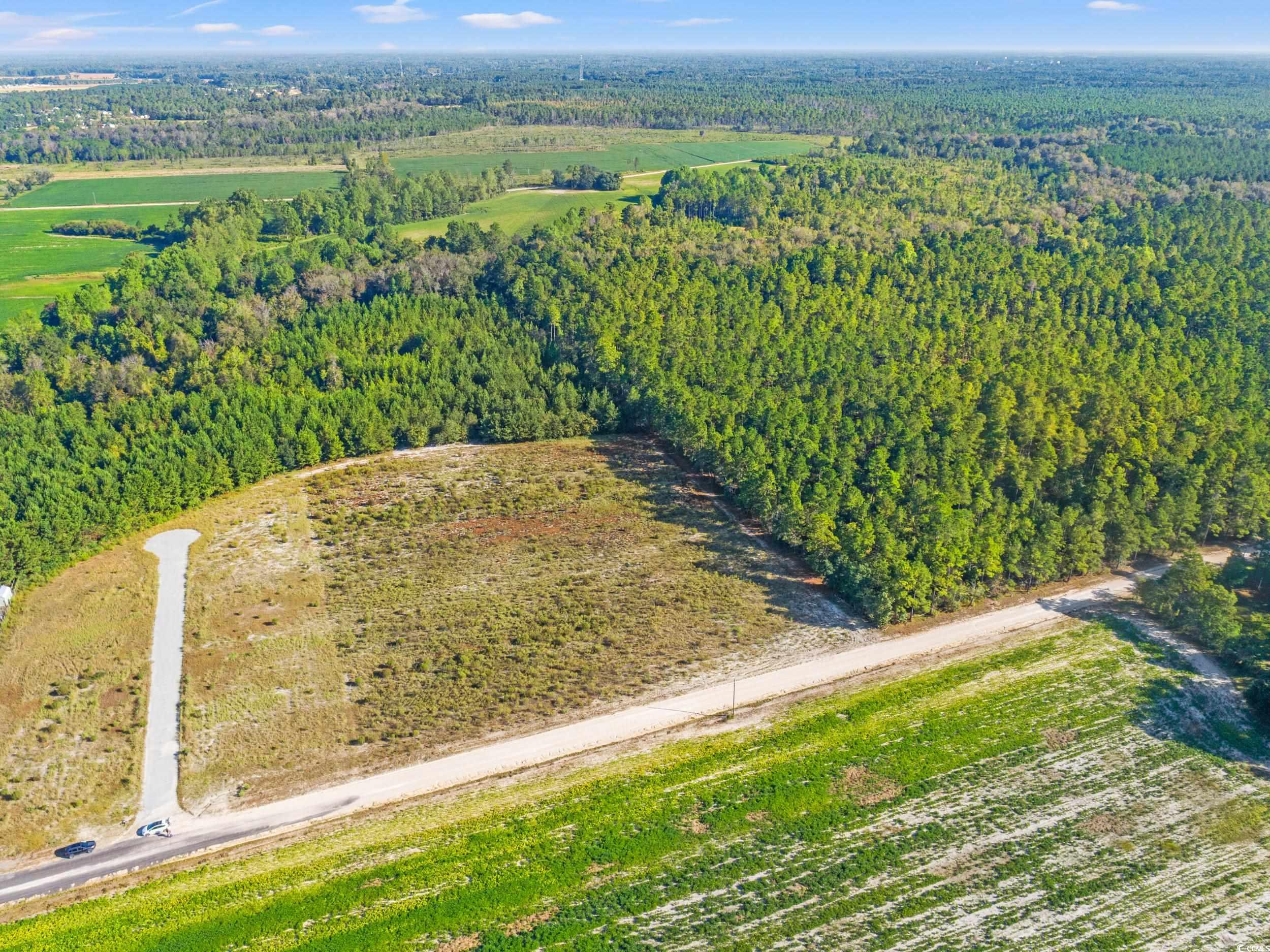 Tbd Tansy Road Loris, SC 29569 - Photo 8 of 9 Aerial view of property's location featuring a forest
