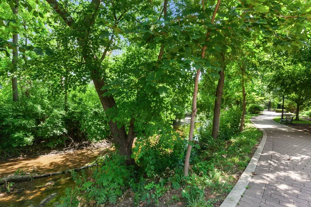 $879,900 | 520 South Washington Street, Unit 103, Naperville, IL 60540