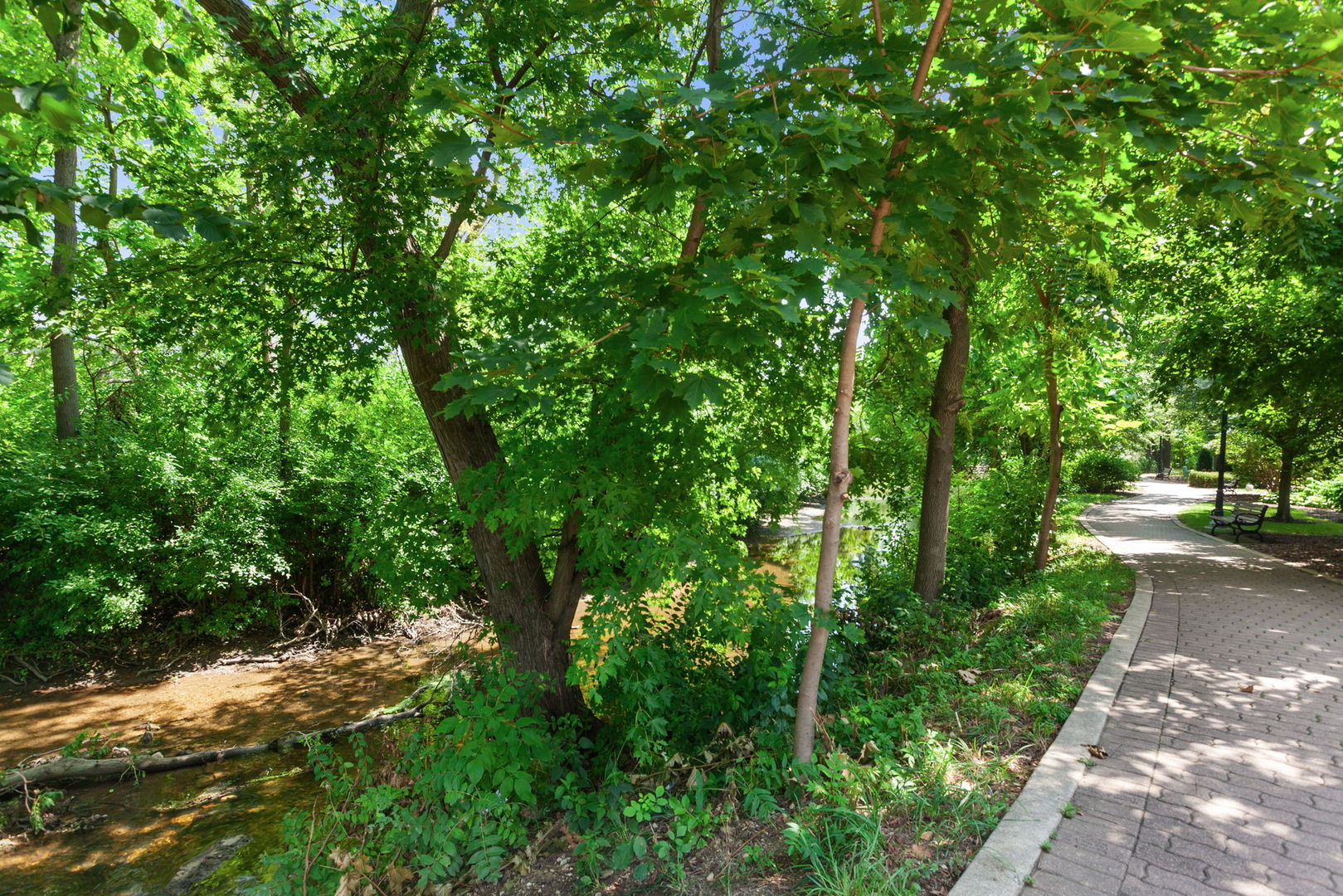 520 South Washington Street, Unit 103 Naperville, IL 60540 - Photo 31 of 39