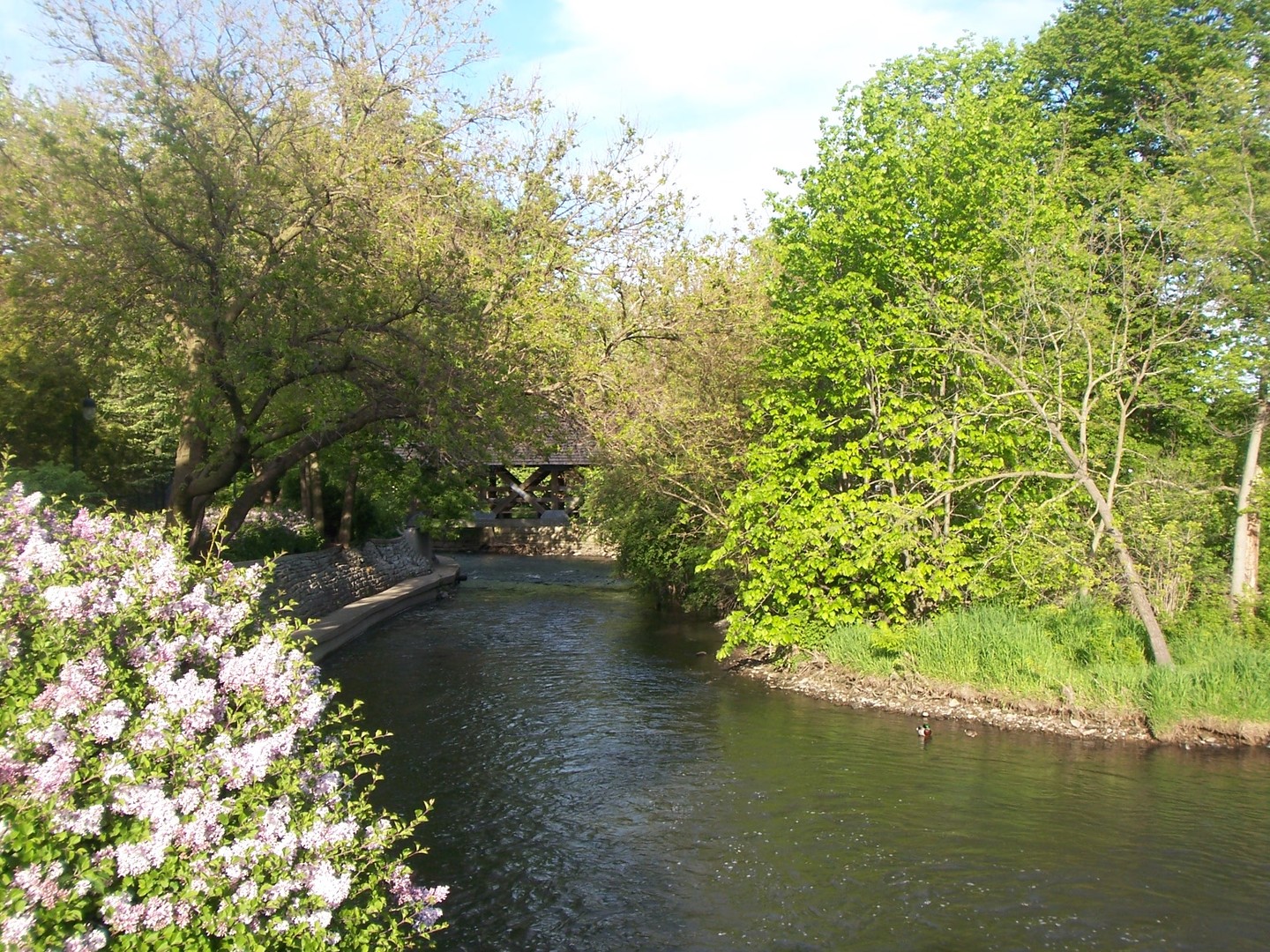 520 South Washington Street, Unit 103 Naperville, IL 60540 - Photo 37 of 39