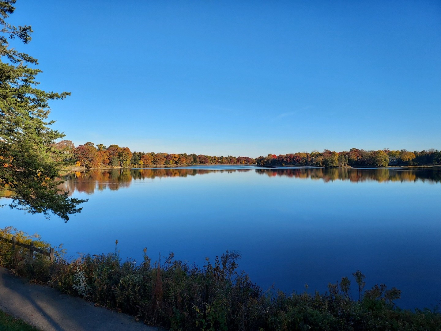 660 Old Barn Road, Unit F24 Lake Barrington, IL 60010 - Photo 40 of 54