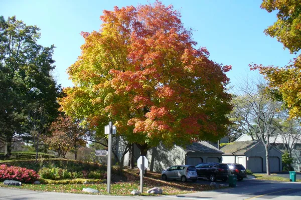 $739,000 | 660 Old Barn Road, Unit F24, Lake Barrington, IL 60010