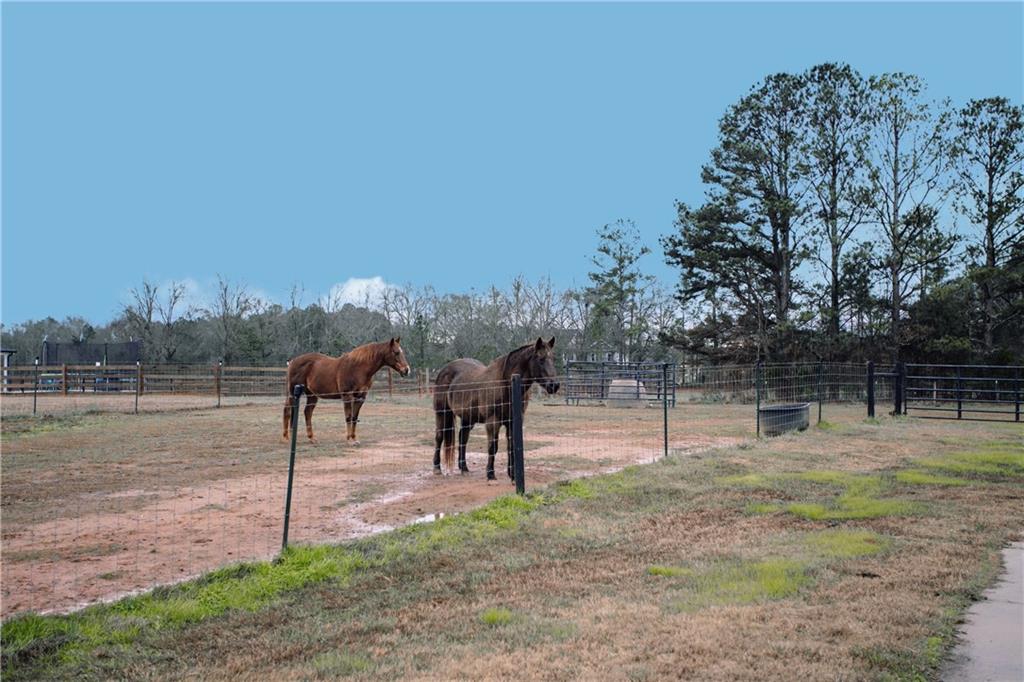 3221 Hollonville Road Williamson, GA 30292 - Photo 42 of 46 a view of park along with trees