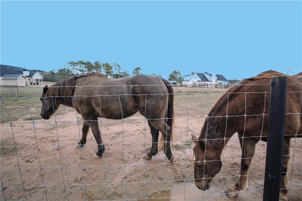 3221 Hollonville Road Williamson, GA 30292 - Photo 43 of 46 a view of a terrace